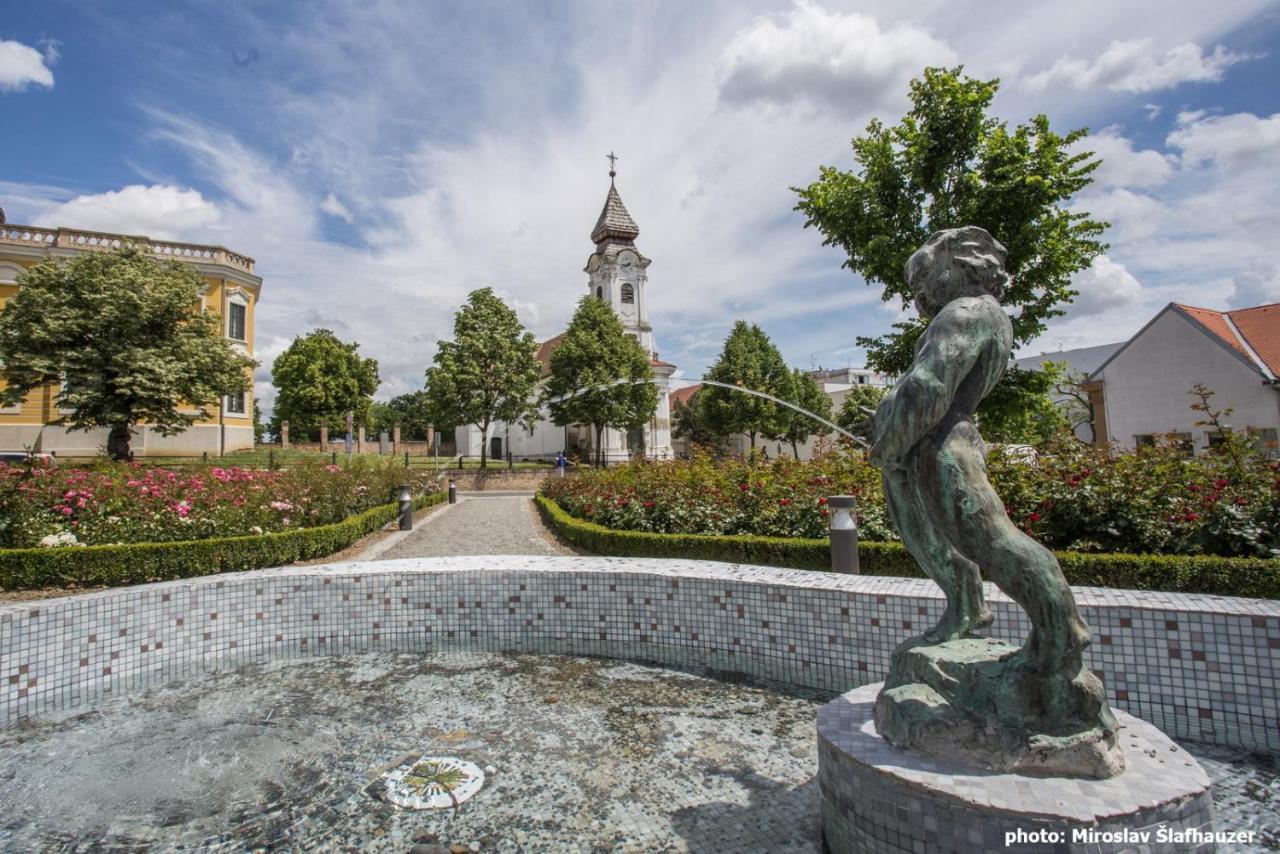 Vila Rosa Vukovar Bed & Breakfast エクステリア 写真