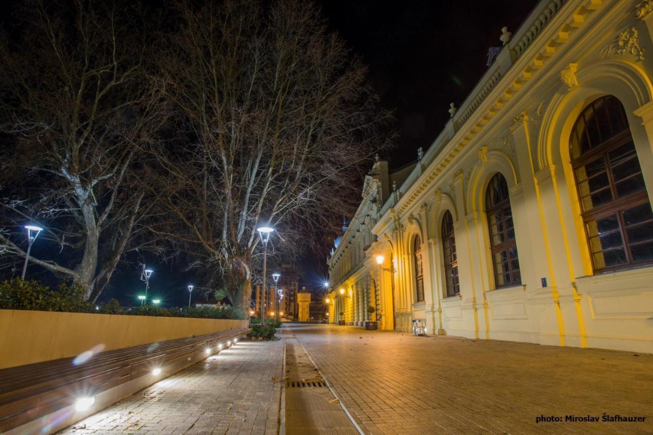 Vila Rosa Vukovar Bed & Breakfast エクステリア 写真